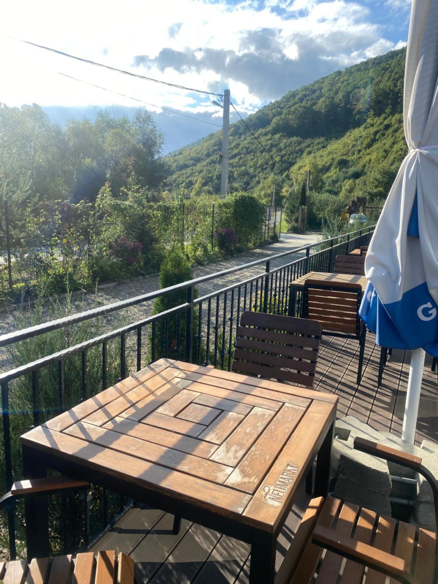 Standard Twin Room Mountain View